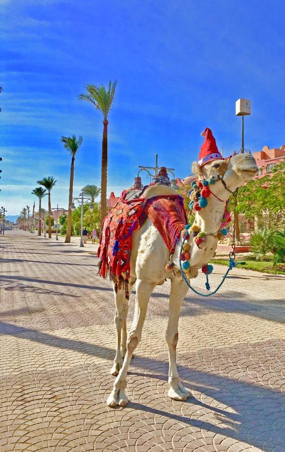 The Touristic Promenade Apartment Hurghada Bagian luar foto