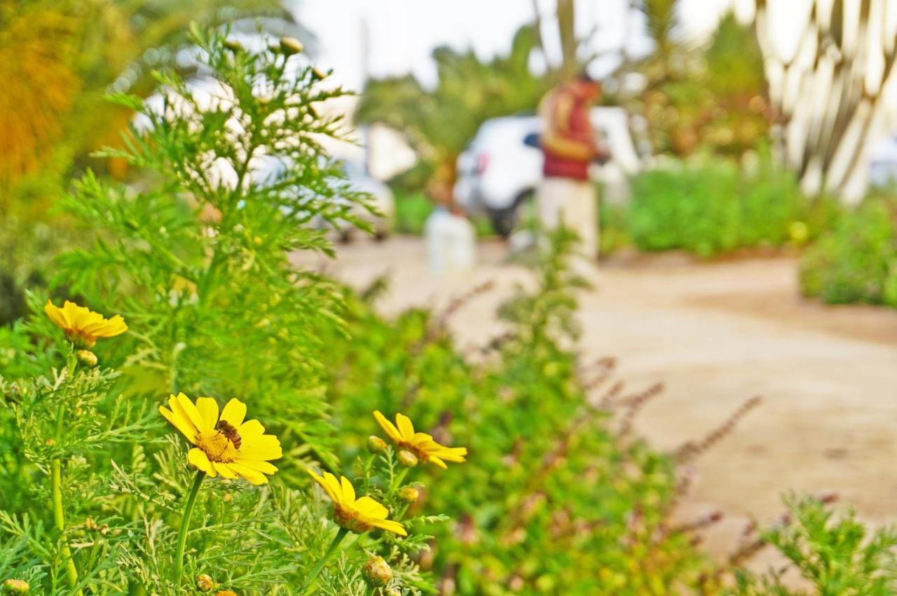 The Touristic Promenade Apartment Hurghada Bagian luar foto